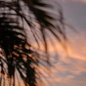 北京富婆泄欲对白
